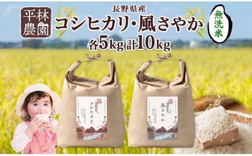 ＜新米予約＞令和6年産 コシヒカリ 風さやか 無洗米 各5kg 長野県産 米 白米 精米 お米 ごはん ライス 甘み 農家直送 産直 信州 人気 ギフト 時短 お取り寄せ 平林農園 送料無料 長野県 大町市