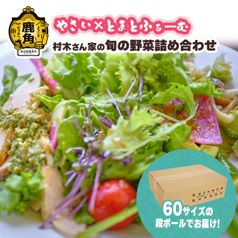 【ふるさと納税】 《 先行予約 》村木さん家の旬の野菜詰め合わせ 5～7種 新鮮 旬 県産野菜 国産野菜 お中元 お歳暮 母の日 父の日 グルメ ギフト 故郷 秋田 あきた 鹿角市 鹿角 送料無料 【やさい×とまとふぁーむ】