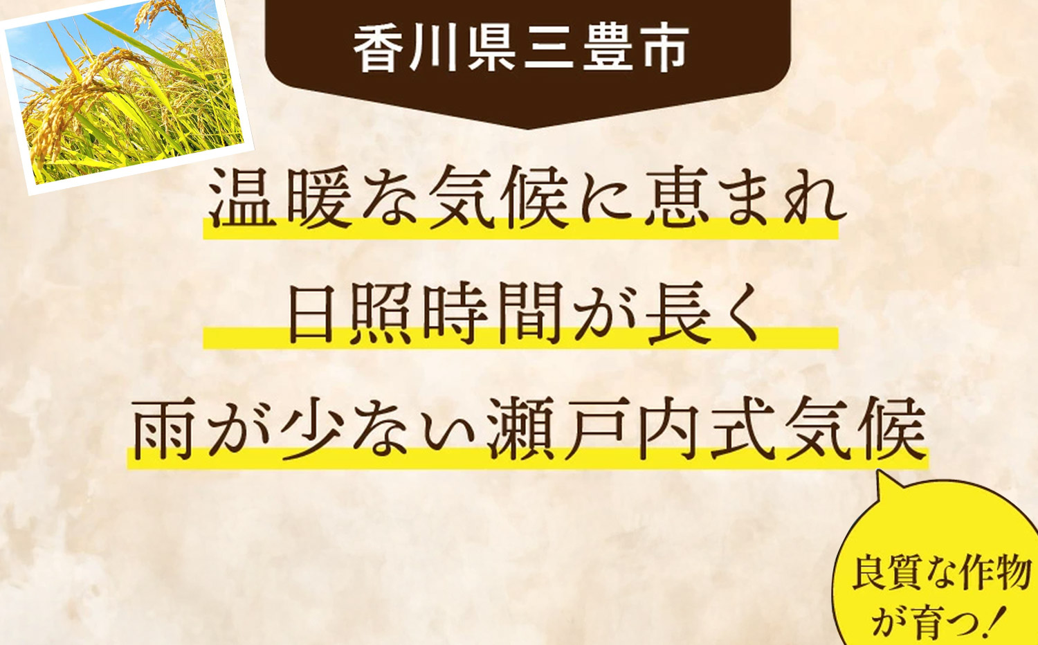 M64-0111_コシヒカリ　5kg