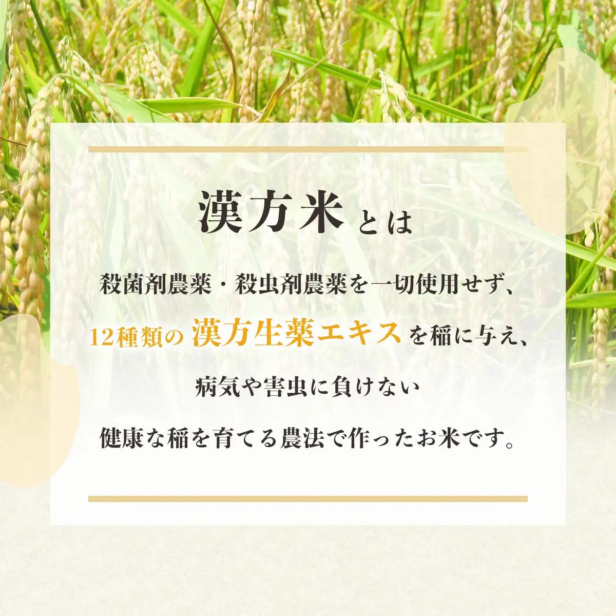 【定期便】 新米 白米 ５kg×12回（合計60kg） 健方米 アキサカリ 漢方栽培