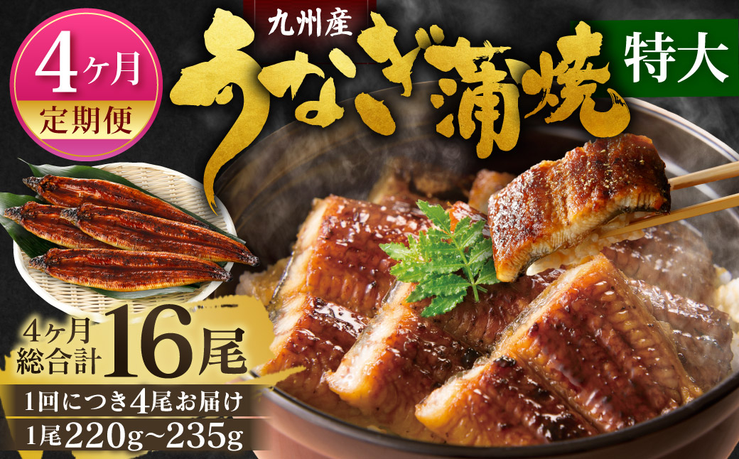 
【4ヶ月定期便】九州産 うなぎ 蒲焼 特大4尾 (1尾あたり220～235g) 合計16尾 たれ 山椒 鰻 ウナギ 蒲焼き 国産 冷凍 鹿児島、宮崎、熊本等産うなぎ原料使用
