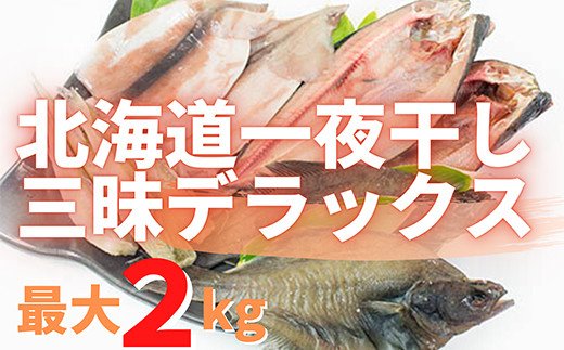 【緊急支援品】北海道一夜干し三昧デラックス 最大2kg 計10尾 訳あり 一夜干し 事業者支援 中国禁輸措置