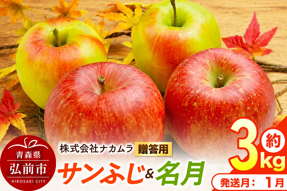 【27年1月発送】りんご サンふじ・名月【贈答用】約3kg（9～12玉程度）先行受付 青森県産 林檎 リンゴ 果物 くだもの フルーツ 青森県 弘前市 [先行予約 産地直送 ギフト 贈り物 アップル 