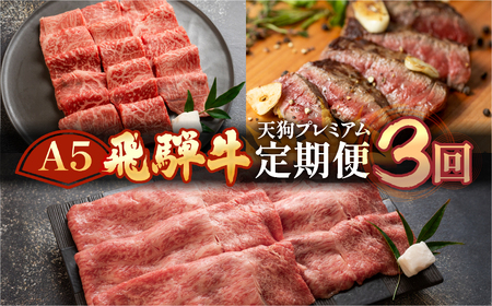 【定期便3回】 A5 飛騨牛 天狗 (ステーキ / すき焼き / 焼肉) 牛肉 赤身 霜降り 希少部位  もも サーロイン 肉 下呂温泉 おすすめ 牛肉 ブランド牛 肉ギフト 国産 焼き肉 しゃぶしゃぶ ギフト お楽しみ 50000円 5万円 高級牛肉 岐阜県 下呂市【11-M】