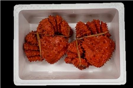 【北海道根室産】花咲がに500g×2尾 B-01027