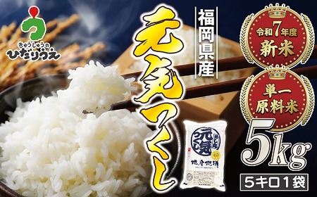 【令和7年産米】【2025年11月より順次発送】JAよりお届け！福岡県ブランド米「元気つくし」 5kg（5kg×1袋）[G2310b]
