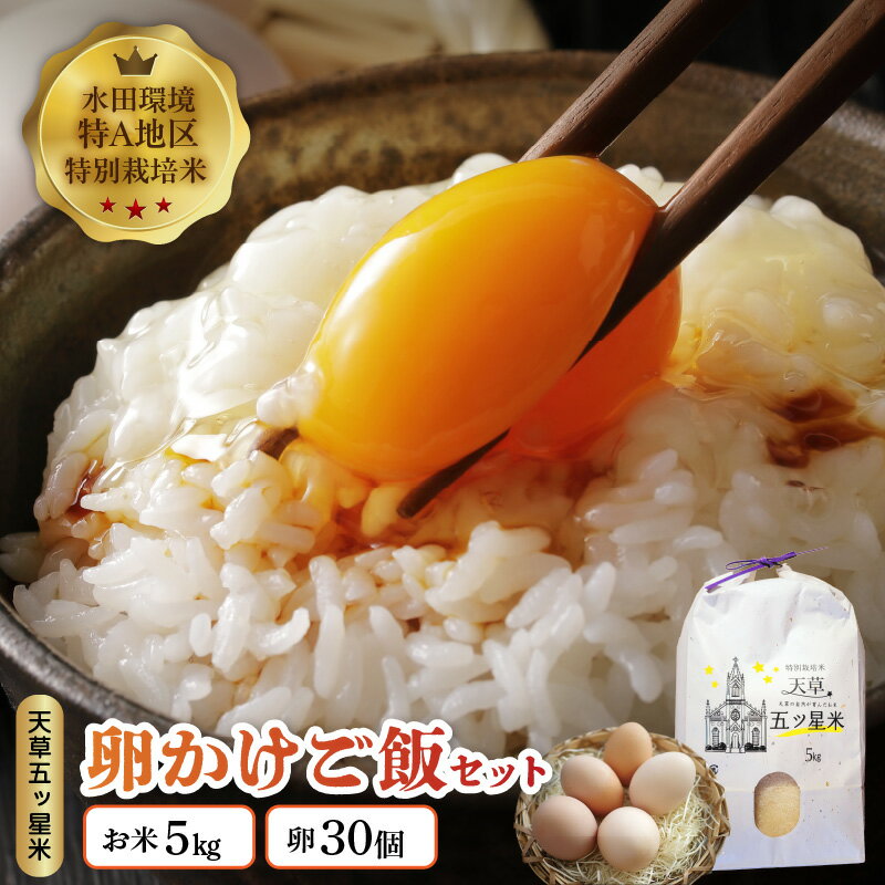 【ふるさと納税】お米 5kg 卵 30個 セット コシヒカリ わさもん うるち米 有精卵 単一原料米 国産