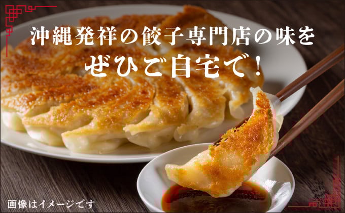 かめかめ島餃子 (豚肉/にんにくあり・なし) 30個 × 2袋 | 工場直売 | 簡単調理 手軽 沖縄 お取り寄せ グルメ 冷凍