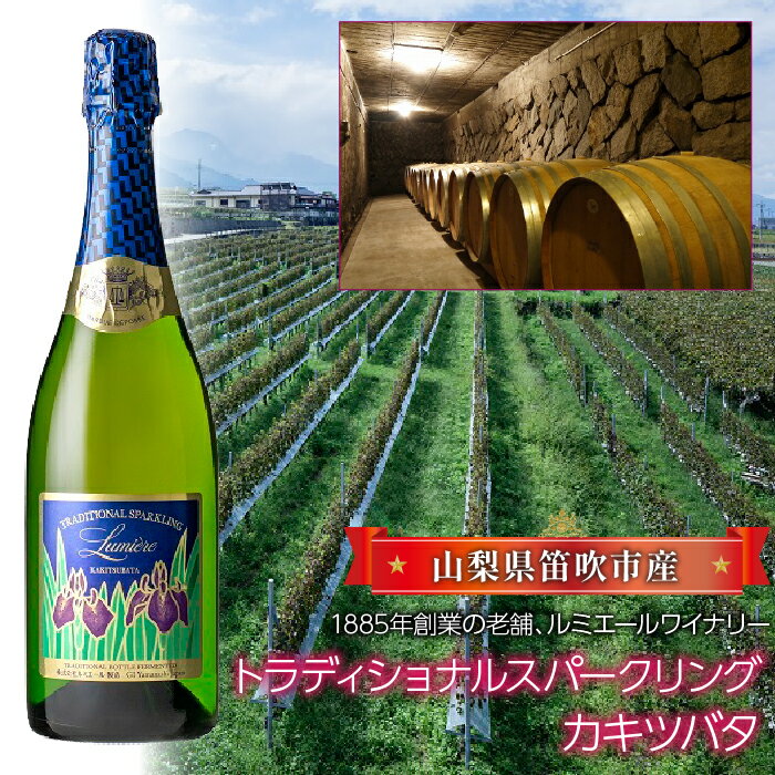 【ふるさと納税】トラディショナルスパークリング　カキツバタ ふるさと納税 ワイン 笛吹市 山梨ワイン 酒 アルコール 山梨県 記念品 お祝い 送料無料 063-003