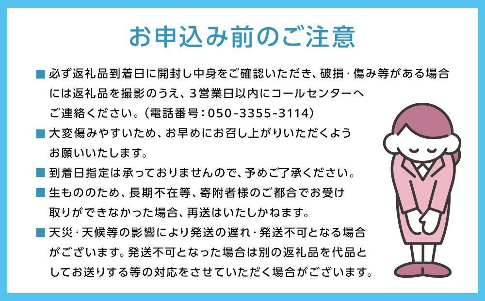 岡山県産フルーツ詰め合わせ（シャインマスカット１房、桃1個入）