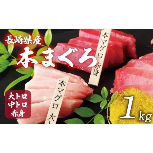 【 大トロ 中トロ 赤身 】本マグロ 1kg 海鮮丼 A122