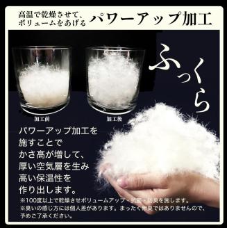 ＜京都金桝＞軽くて暖か 羽毛布団 本掛け ハンガリーホワイトダウン90％ クイーン 1.9kg DP360 立体キルト≪人気 日本製 京都亀岡産 掛け布団 ≫アクア