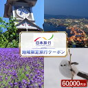 【ふるさと納税】北海道　日本旅行　地域限定旅行クーポン60,000円分 チケット 旅行 宿泊券 ホテル 観光 旅行 旅行券 交通費 体験 宿泊 夏休み 冬休み F6S-141