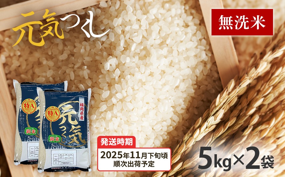 
                   令和7年産　福岡県産ブランド米「元気つくし」無洗米10kg【11下旬頃より順次出荷予定】
                