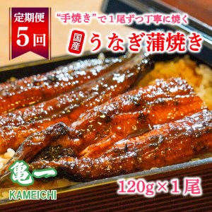 定期便 5ヶ月 国産 うなぎ 鰻 蒲焼 蒲焼き かば焼き120g 1本 土用 丑の日 老舗 亀一 特製 タレ 真空パック ひつまぶし ギフト 贈答 冷凍 お取り寄せ お祝い