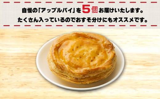  訳あり 国産りんごのアップルパイ 5個セット 工場直売アウトレット品