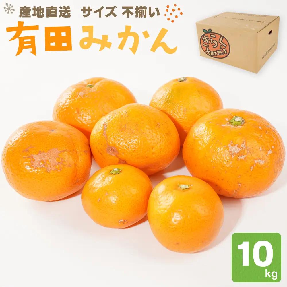 有田みかん サイズ不揃い 10kg みかん 温州 柑橘 和歌山 産地直送 喜楽farms