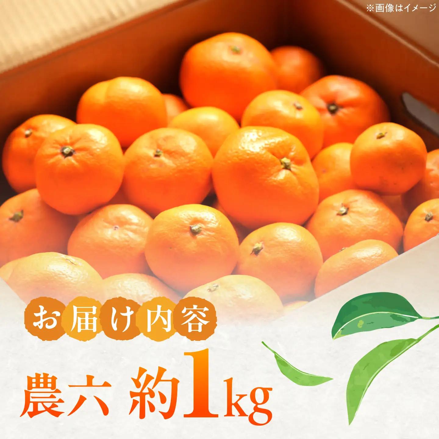 みかん 農六 約1kg【2月上旬から3月下旬まで順次発送】 / フルーツ 果物 蜜柑 ミカン オレンジ 小玉 甘い 先行予約 1kg 愛媛 / 愛媛県砥部町/和氣隆司[BJBF002]