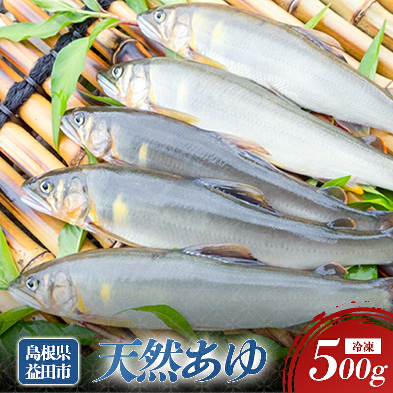 【ふるさと納税】 天然あゆ 500g 魚介類 魚 アユ 天然 高津川 塩焼き みそ焼き 天ぷら 鮎飯 冷凍 特産品 お取り寄せ グルメ