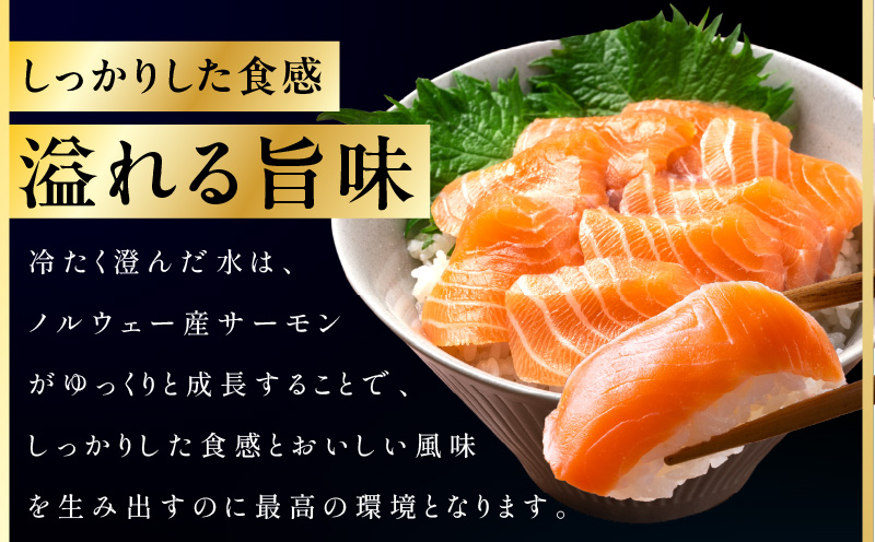 ノルウェー産 プレミアム アトランティックサーモン 1kg 【2～5柵 訳あり サイズ不揃い 上質 刺身 海鮮丼 サラダ 冷凍 物価高応援】 G1890