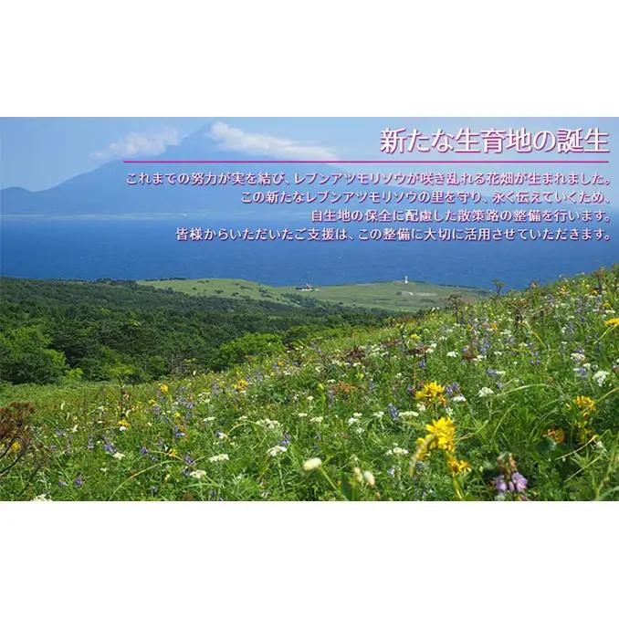 礼文産 新鮮生うに キタムラサキウニ 80g×2(ピンバッジ付) うに