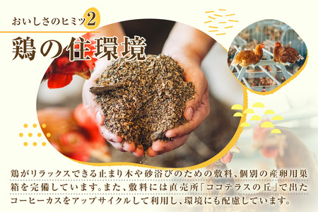 【３か月定期便】放し飼い米たまご15個+5個保証（計20個）農家直送 新鮮 卵 タマゴ 赤卵 玉子 鶏卵 朝食 夕食 夜食 朝ごはん たまご焼き オムレツ 卵ご飯 料理 濃厚 飼料にこだわった 卵かけ