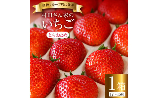 村田さん家のいちご【とちおとめ】1箱／12～15粒《3月発送》