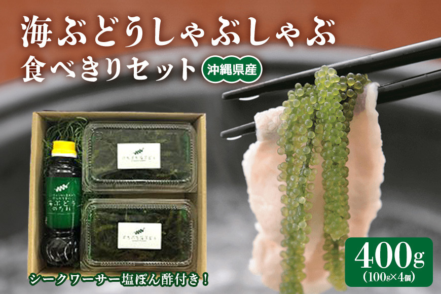
                  海ぶどう しゃぶしゃぶ 食べきり セット 海ブトウ 100g×4個 シークワーサー塩ぽん酢 1本 沖縄県産 無着色 沖縄 特産品 沖縄グルメ 海藻 海ぶどう丼 サラダ おつまみ おかず 沖縄料理 常温保存 シークワーサー ポン酢 ポン酢 産地直送 沖縄県 糸満市 
                
