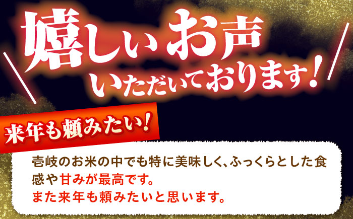 【R6年度産米予約受付中】壱岐産 にこまる 5kg《壱岐市》【壱岐市農業協同組合】[JBO023] ご飯 ごはん 5キロ 特A   15000 15000円