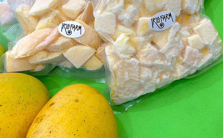 2026年7月発送　先行予約　金蜜　冷凍カットマンゴー500g（250g×2袋） 沖縄県 名護市 マンゴー 金蜜 冷凍 フルーツ デザート スイーツ 国産フルーツ 果物 大自然 南国気分 先行予約 甘