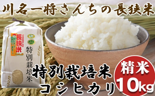 【令和5年産】川名一将さんちの長狭米 特別栽培米コシヒカリ10kg【精米】[0024-0010]