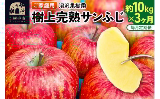 《定期便3ヶ月》樹上完熟サンふじ ご家庭用 約10kg（1回26～46玉前後）×3回 計30kg 3か月 3ヵ月 3カ月 3ケ月