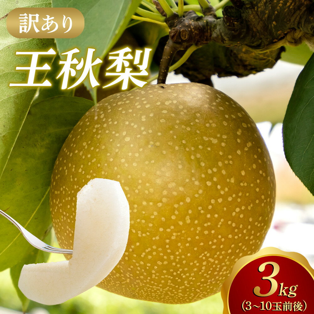 【ふるさと納税】【2026年1月頃発送】【訳あり】王秋梨 3kg（3～10玉前後） | 梨 なし 王秋 おうしゅう 家庭用 訳アリ 3kg 果物 フルーツ おすすめ 人気 鳥取県 北栄町 令和8年発送