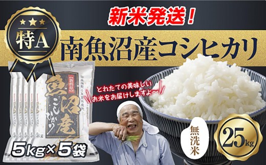 
                  【令和8年産　新米予約】「無洗米」 新潟県 南魚沼産 コシヒカリ お米 5kg×5袋 計 25kg 精米済み（お米の美味しい炊き方ガイド付き） お米 こめ 白米 こしひかり 食品 人気 おすすめ  魚沼 南魚沼 南魚沼市 新潟県産 新潟県 精米 産直 産地直送【2026年10月中旬より1ヶ月以内に順次発送予定】
                