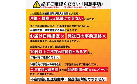 【2026年発送受付】利尻島産「朝どり」塩水生うに100g (100g×1) 天然キタムラサキウニ【6~8月発送分】｜北海道 朝獲れ 天然 塩水  無添加 ミョウバン不使用 [1090029]