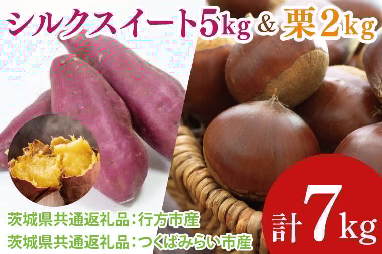 
            【先行予約】【2025年9月より順次発送】シルクスイート5kg と 栗2kg（茨城県共通返礼品：行方市、つくばみらい市）｜さつまいも サツマイモ くり セット 数量限定 茨城県 大子町（CD123）
          