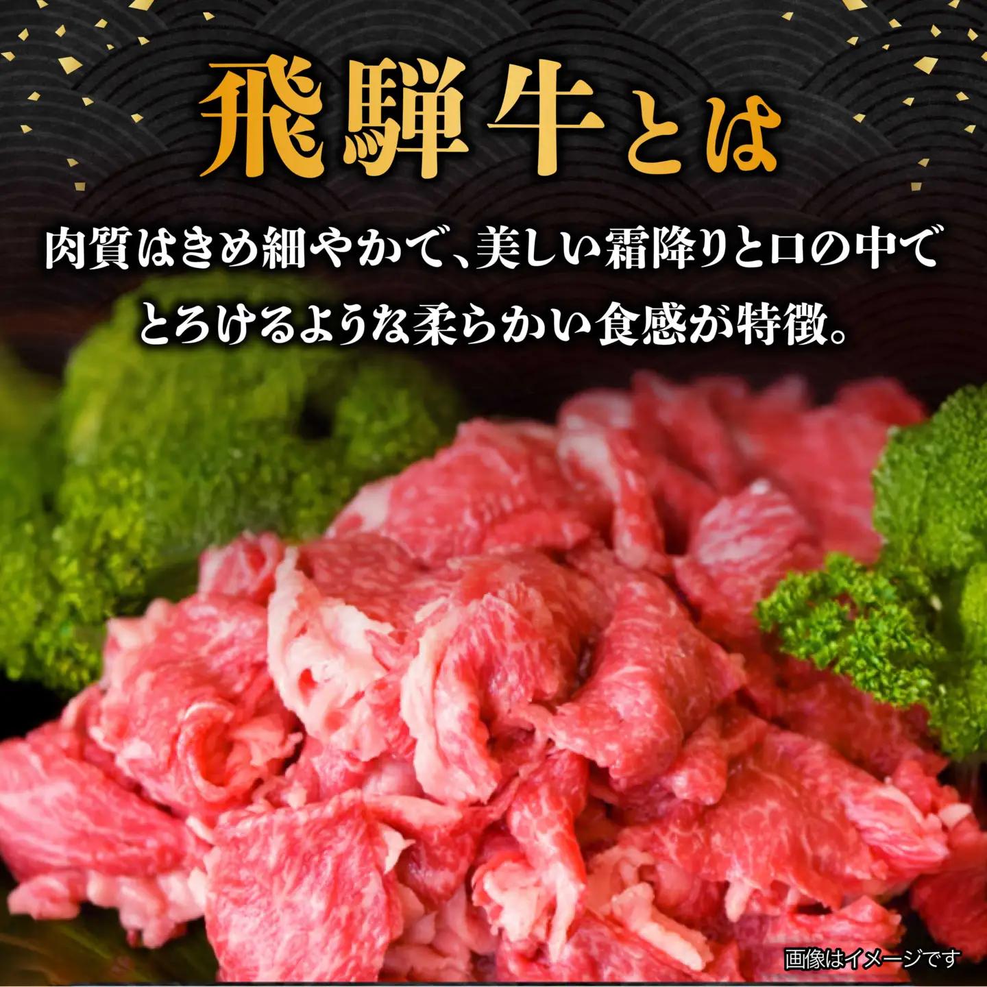 【10月発送】【飛騨牛】 切り落とし 1kg 和牛 ブランド牛 国産 牛肉 多治見市 / 渡辺精肉店 [TAZ005-10]