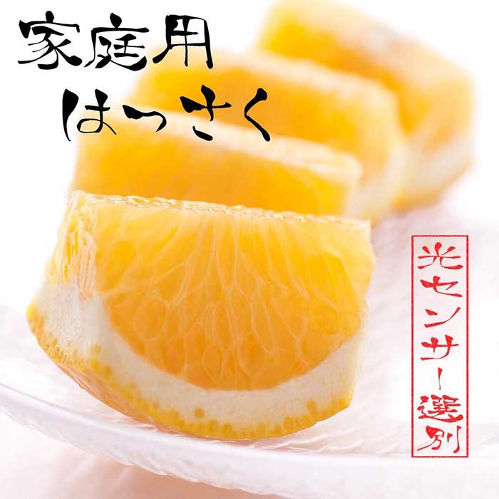 【ふるさと納税】［先行予約］家庭用 はっさく5kg+250g（傷み補償分）【八朔みかん】【訳あり・わけあり】［IKE29］