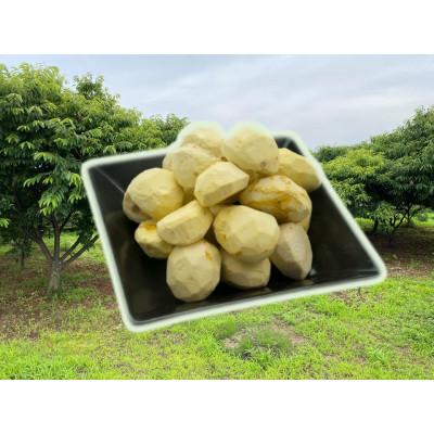 ふるさと納税 山鹿市 熊本県山鹿和栗【冷凍むき栗】(1kg) |  | 01