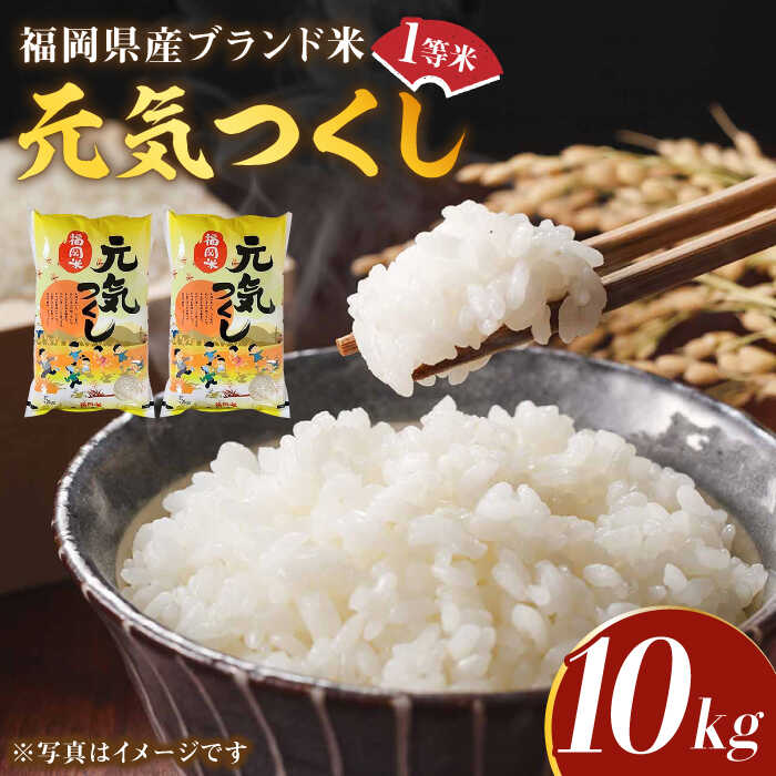 【ふるさと納税】【令和7年産】福岡県産ブランド米「元気つくし」白米 10kg (5kg×2袋)【202511月以降順次発送】《築上町》【株式会社ゼロプラス】 米 こめ コメ お米 ご飯 白ご飯 白米 ブランド米 精米 食品 九州産 [ABDD003] 44000 44000円