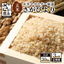 【ふるさと納税】【3ヶ月定期便】佐賀県産 さがびより 玄米 10kg×3回 《3ヶ月連続 毎月お届け》 定期便 3か月 合計30kg 合計3回発送 お米 九州 米 国産 九州産 佐賀県 鹿島市 送料無料 F-16