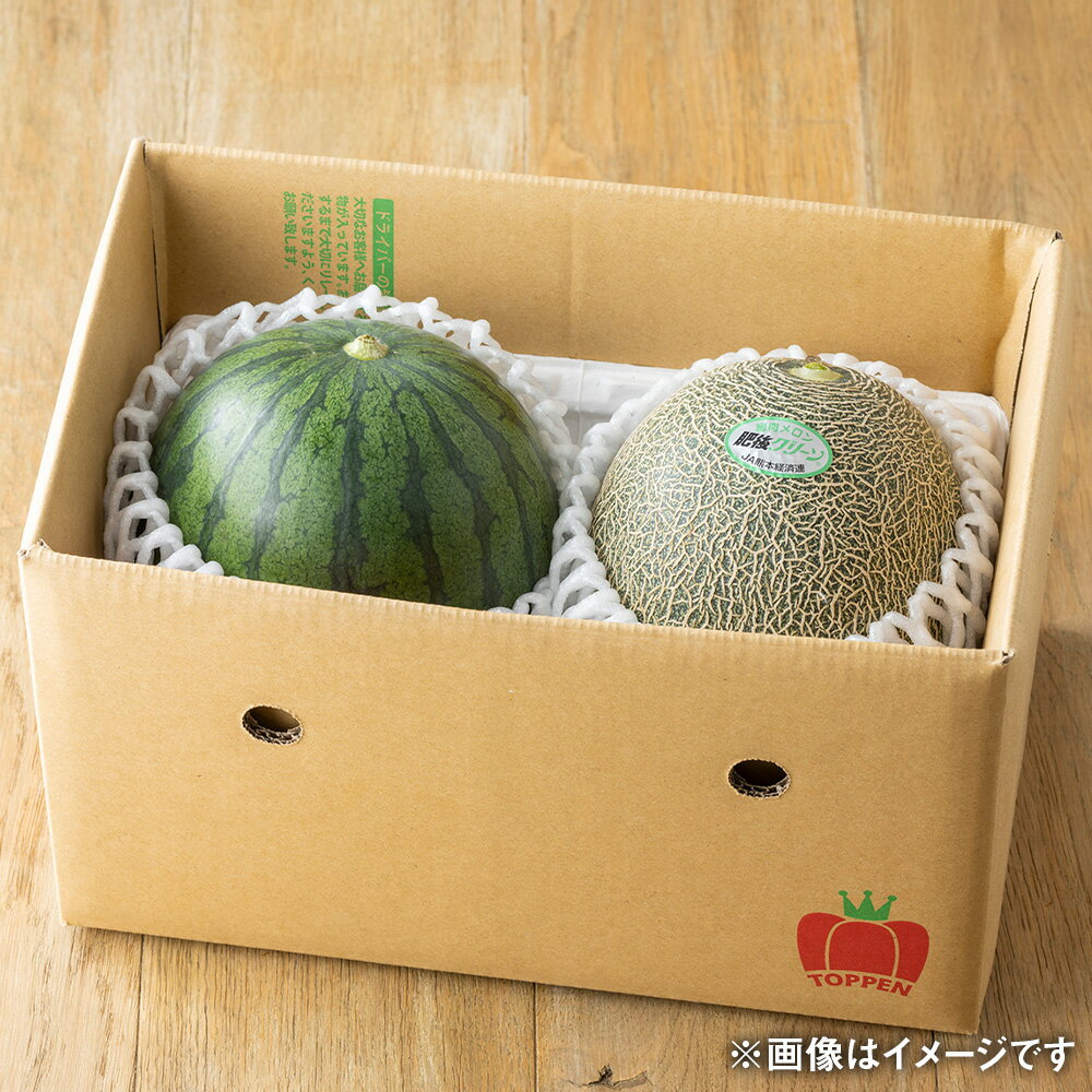 【ふるさと納税】熊本県産 小玉すいか1玉（1.5kg以上）と肥後グリーンメロン1玉（1.6kg以上）スイカ 西瓜 メロン 果物 くだもの 果実 フルーツ 旬 お取り寄せ 贅沢 ご褒美 ギフト 国産 九州 熊本県 常温 送料無料 【2025年6月上旬発送開始】