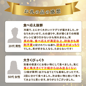 大粒活はまぐり 約1kg 【某TV番組で全国1位になった大粒活はまぐり】 九十九里産 国産 貝類
