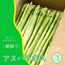 【ふるさと納税】アスパラガス 小郡産 朝採りアスパラガス 1kg (L、2Lサイズ混) 野菜 永利農園　【小郡市】　お届け：2024年10月末まで