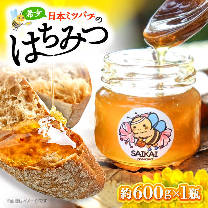 【ふるさと納税】【希少な日本ミツバチ】 国産 蜂蜜 約600g 〜西海からの贈り物〜＜おばま養蜂農園＞[CFY001] 長崎 西海 蜂蜜 はちみつ ハチミツ 蜂蜜 はちみつ ハチミツ 国産蜂蜜 贈答 ギフト