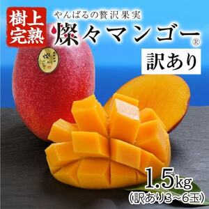 【2025年発送・訳あり】燦々マンゴー1.5kg(3～6玉)【配送不可地域：離島】【1619685】