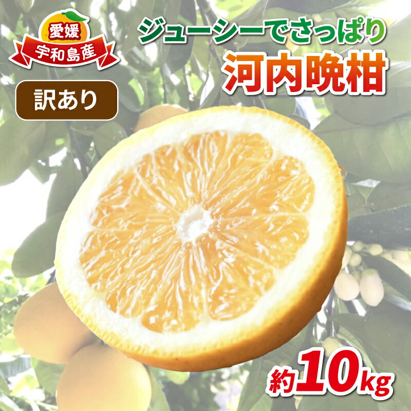 【ふるさと納税】 訳あり 河内晩柑 約10kg 協徳ガーデン 先行予約 予約受付 訳アリ わけあり 晩柑 和製 グレープフルーツ 果物 フルーツ 柑橘 みかん 蜜柑 愛媛みかん 愛媛ミカン mikan 愛媛蜜柑 産地直送 農家直送 産地直送 数量限定 国産 愛媛 宇和島 B010-178007