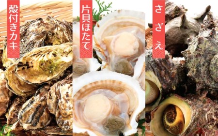 缶焼き 海鮮ガンガン焼きセット 国産貝3種盛(サザエ、カキ、ほたて)【BBQ アウトドア 海鮮 食べ比べ お手軽 冷凍】 [e04-a018]