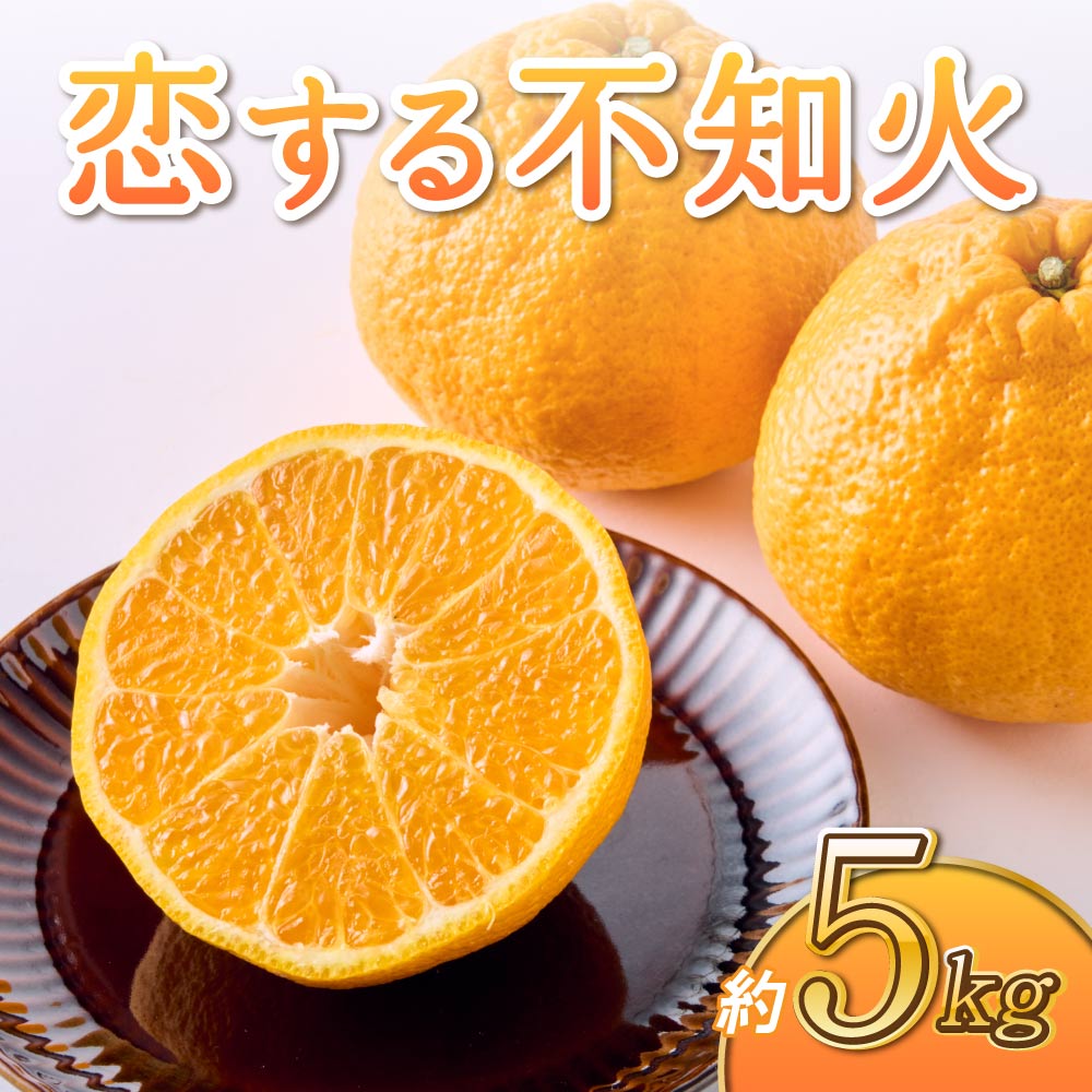 【ふるさと納税】【先行予約】不知火 恋する不知火 約5kg 御舩果樹園【2025年4月上旬から2025年6月下旬発送予定】