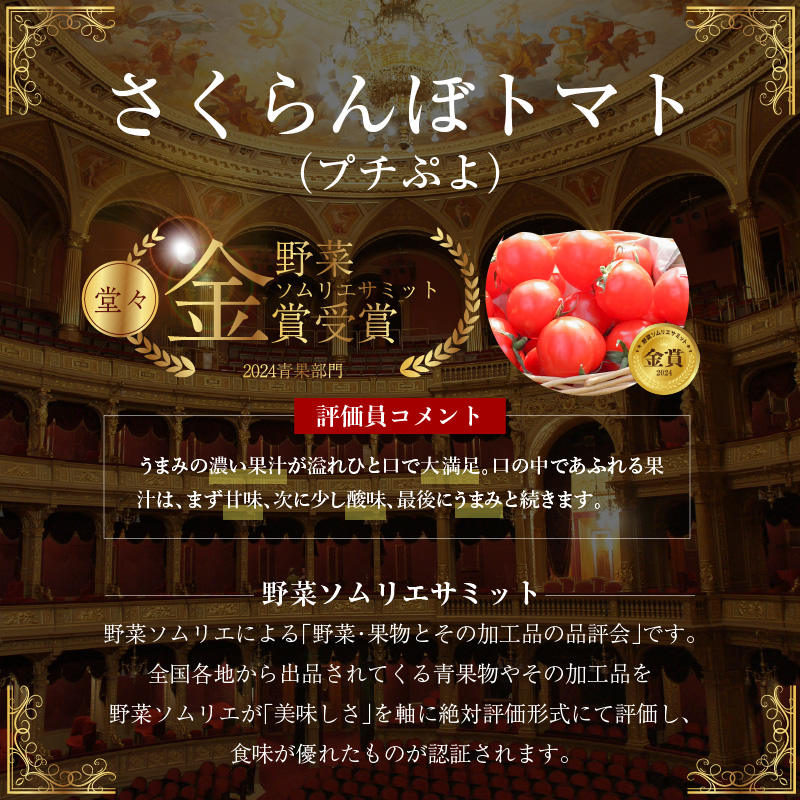 【2026年度予約分】衝撃の一粒!!奇跡のさくらんぼミニトマト(プチぷよ) 約750g（250g×3パック） ソムリエサミット 金賞 受賞 長田農園 産地直送 トマト とまと 野菜 やさい フルーツ 